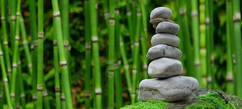 Meditation Garden
